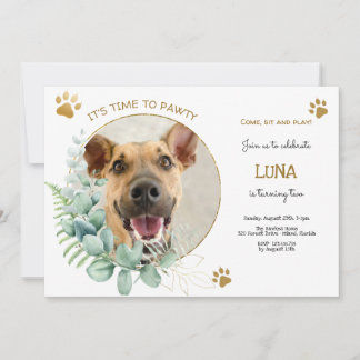 Convite Vamos, festa de aniversário de cão