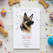 Vamos, festa de aniversário de cão