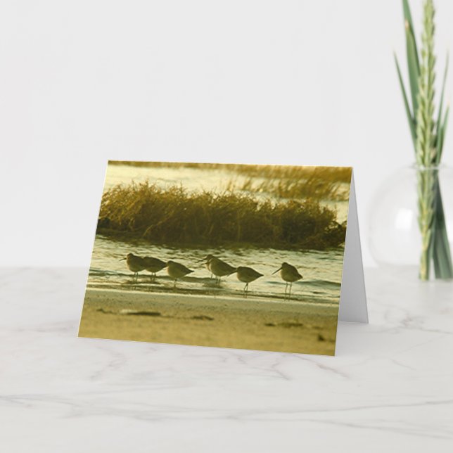 Convite - Venha e se junte à festa! (Frente)