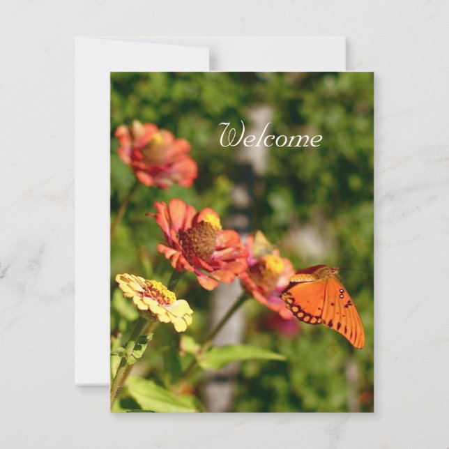 Convite Venha se juntar a nós para um piquenique (Frente)