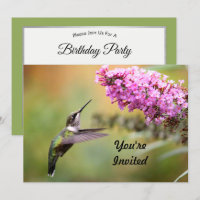Vida Selvagem Hummingbird Foto Floral Aniversário