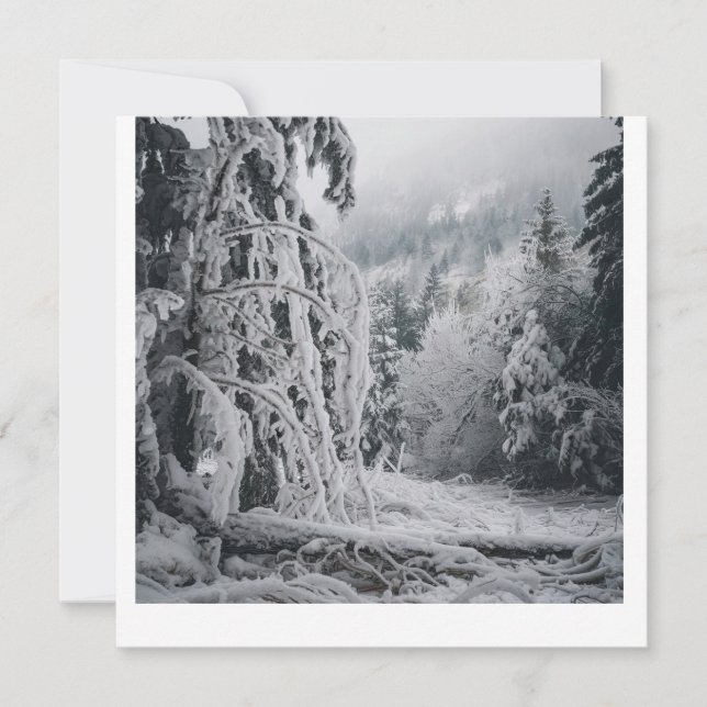 Convite Vinheta da Floresta de Neve (Frente)