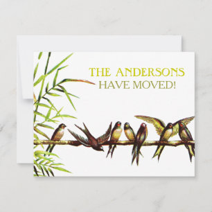Convite Vintage Birds Novo Endereço + Partido do Aquecime