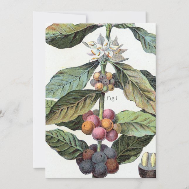 Convite Vintage Café Trabalho de arte (Frente)