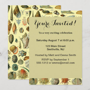 Convite Vintage Mollusk Shell Seashell Art