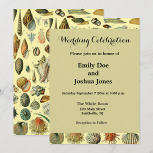 Convite Vintage Mollusk Shell Seashell Art