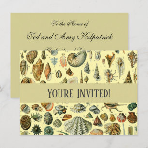 Convite Vintage Mollusk Shell Seashell Art