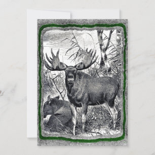Convite Vintage Moose modelo