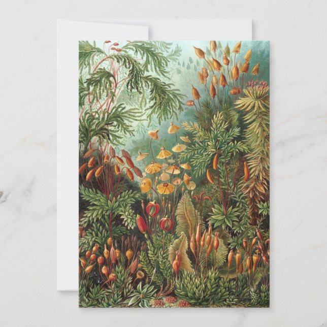 Convite Vintage Muscinae, Moss Vegetais de Ernst Haeckel (Frente)