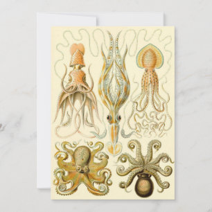 Convite Vintage Octopus Squid por Ernst Haeckel Invitation