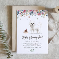 Vintage Watercolor Bichon Frise Dog Festa de anive