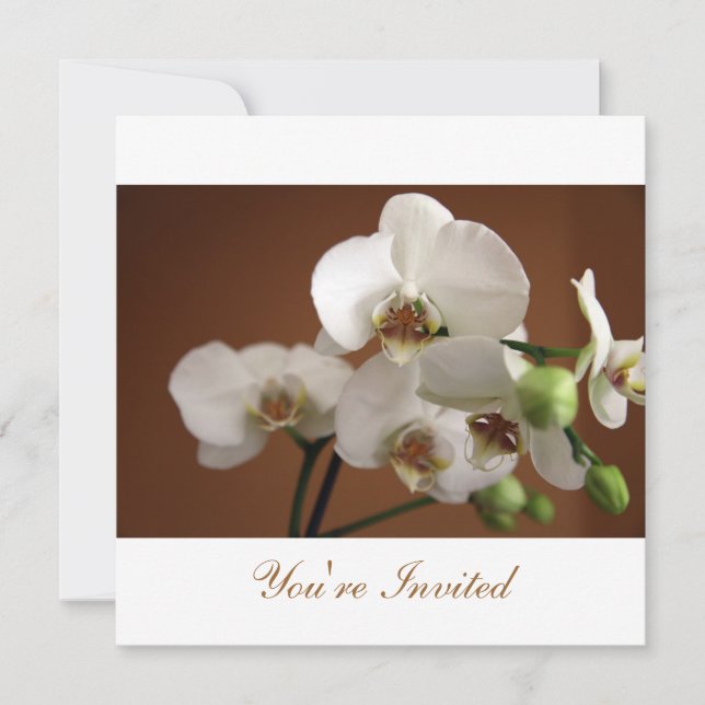 Convite Você é Convidado (Frente)