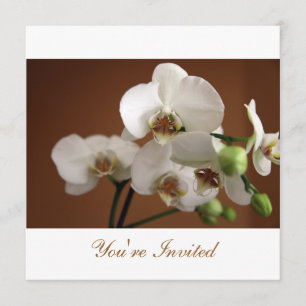 Convite Você é Convidado