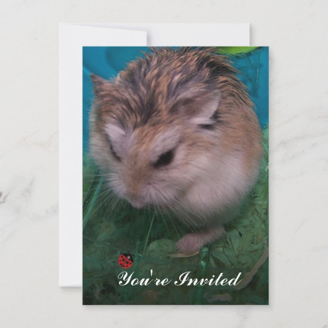 Convite Você foi convidado (Frente)