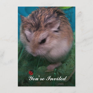 Convite Você foi convidado