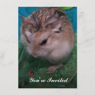 Convite Você foi convidado