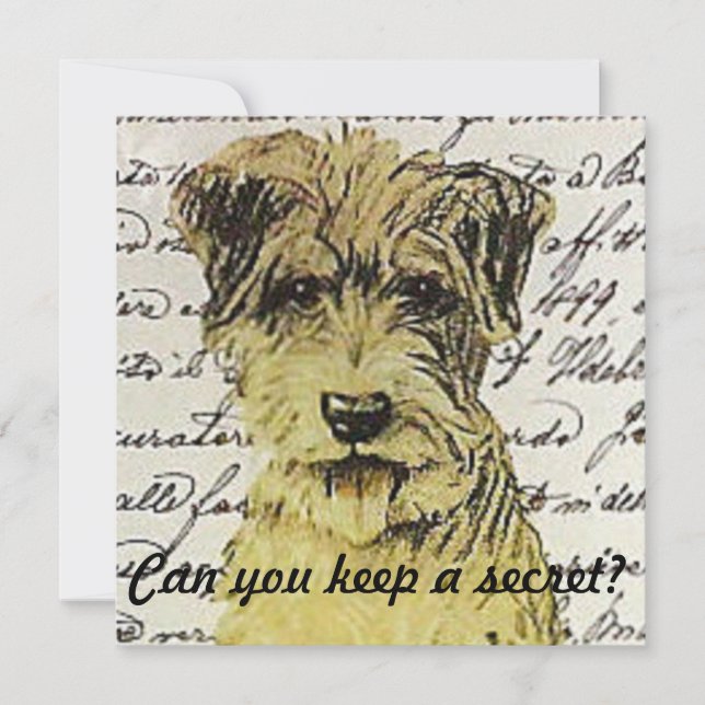 Convite Você pode guardar um segredo? (Frente)