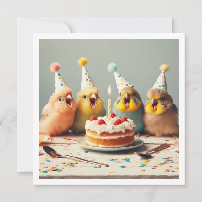 Convite Voe para cima! Aniversário de periquito, aniversár (Frente)