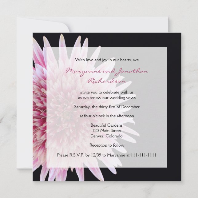 Convite Vow Renewal Giant Pink e White Gerbera Daisy (Frente)