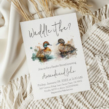 Waddle Está Caçando A Revelação Do Gênero Do Pato 