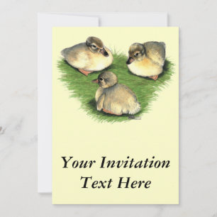 Convite Welsh Harlequin Ducklings