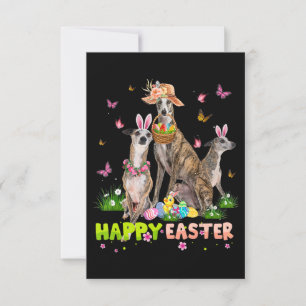 Convite Whippet Presente de Páscoa Ovos de Coelhinho Feliz