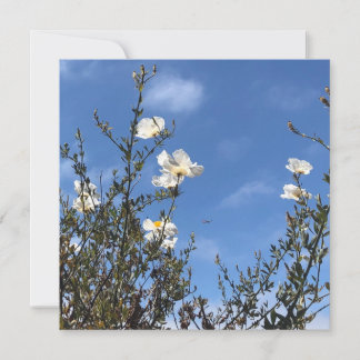 Convite White Poppies Against the Sky Greeting Card