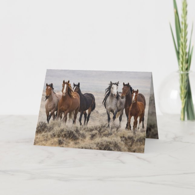 Convite "Wild Mares and Foal on the Move" (Frente)