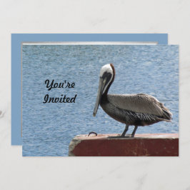Convite Wildlife Brown Pelican Water Photo Birthday
