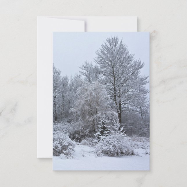 Convite Windsor Winter White Christmas (Frente)