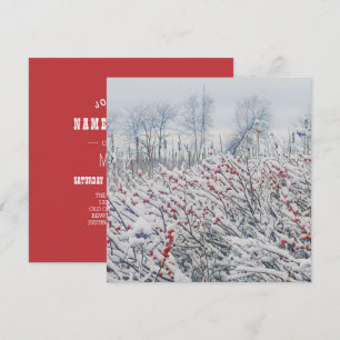 Convite winterberry e cattails