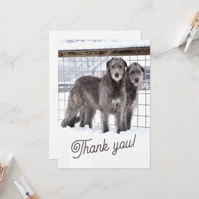 Convite Wolfhounds irlandês na neve (Frente/Verso In Situ)