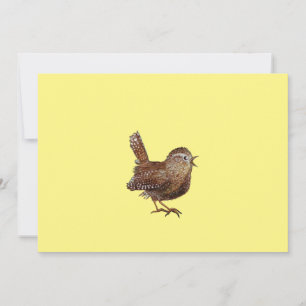 Convite Wren Bird (Troglodytes Troglodytes) cantando