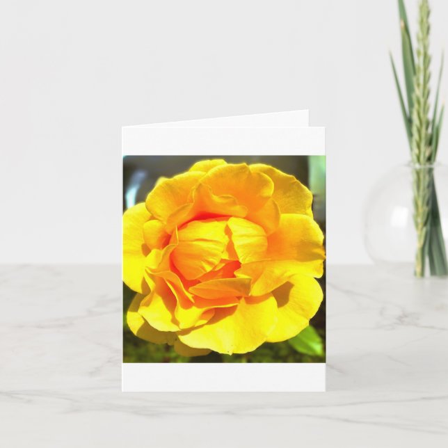 Convite Yellow Rose Greeting Card (Frente)
