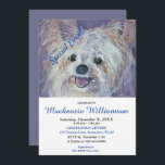 CONVITE YORKIE PUPPY BRANCO DOCE DESEJA FELIZ ANIVERSÁRIO<br><div class="desc">Esse doce e adorável White Yorkie Puppy te dá as boas vindas a uma Festa de aniversário divertida para você e para você, seja para adultos ou crianças. Um convite único para aniversários de qualquer idade! - imagem do criador da pintura de aquarela original. Todo o convite pode ser personalizado...</div>