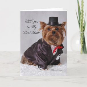 Convite Yorkie, será o meu melhor homem?