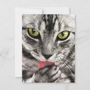 Convites Cartões de saudação