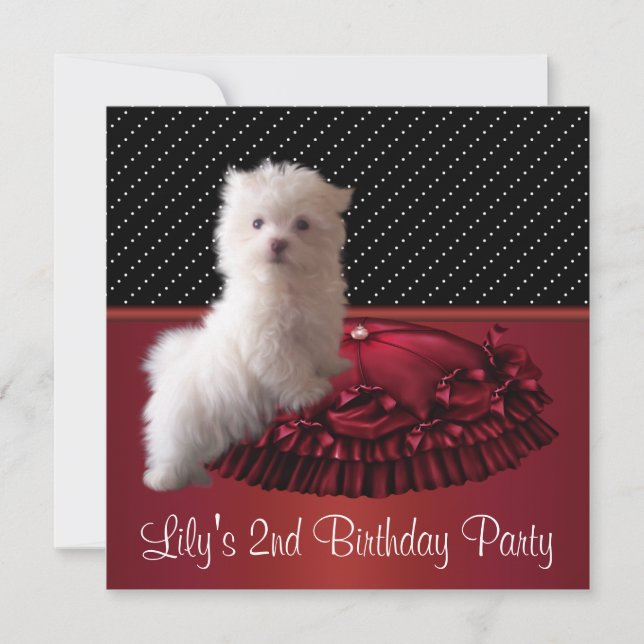 Convites de Aniversário de Cachorrinho Branco Fofo (Frente)