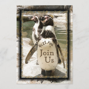 Convites De Casamento De Zoológicos De Fotos De P