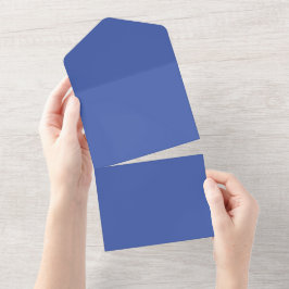 Convites de Casamento Tudo em Um | RSVP. Logotipo.