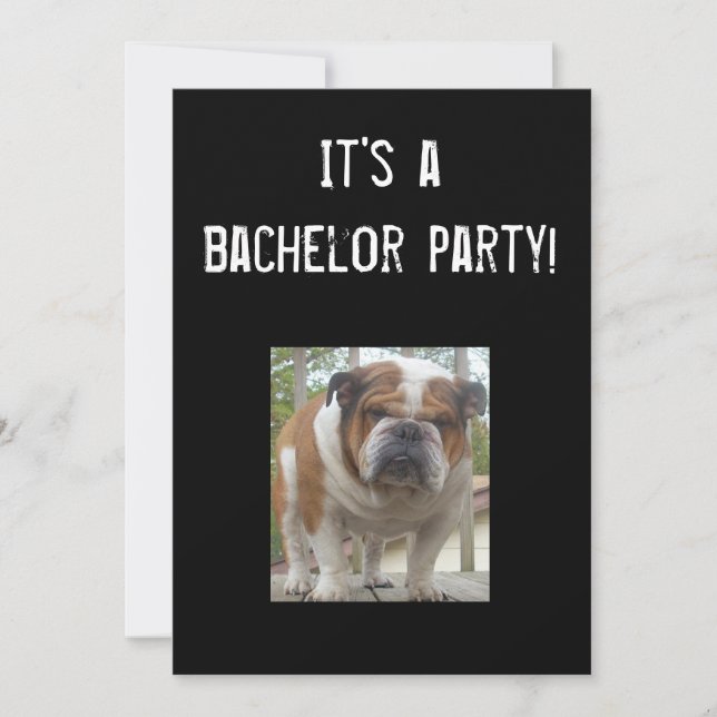 Convites de Festa de Solteiro de Bulldog Inglês (Frente)