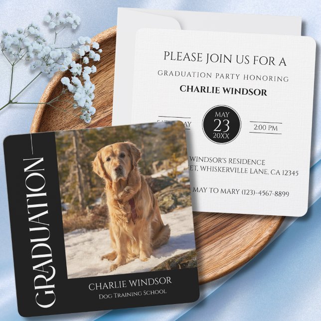 Convites de Formatura de Cachorro Preto e Branco (pet graduation invitation and announcement cards)