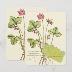 Convites de Jantar Botânicos Flor Silvestre Rosa