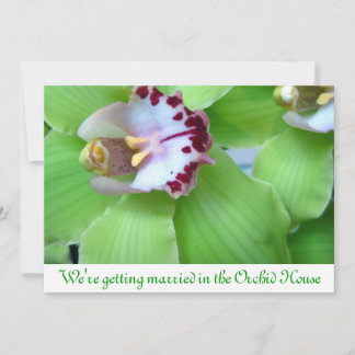convites de Orquídeas Verdes