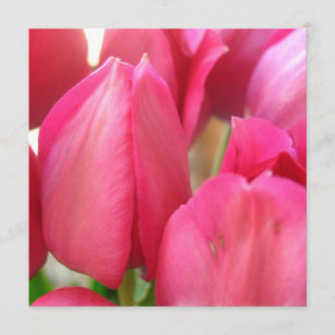 Convites dos bulbos da tulipa