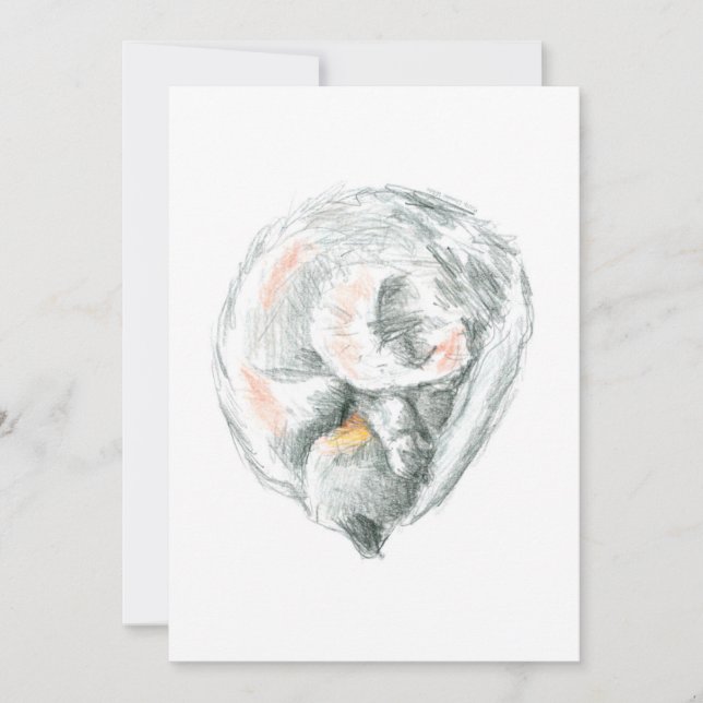 Convites e Anúncios de Soneca de Gato (Frente)