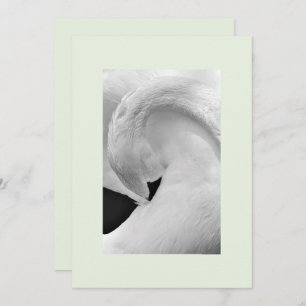 Convites elegantes 5x7 da cisne para wedding etc.