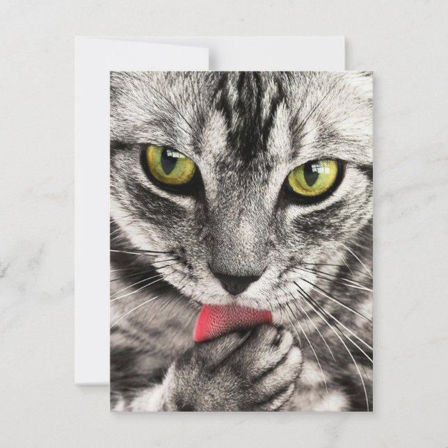 Convites Papelaria Cartões de Saudação Holida (Frente)