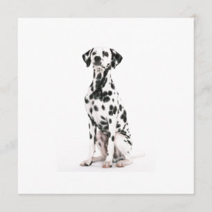 Convites para Cães de Fogo