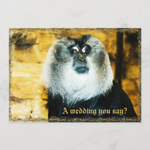 Convites para Casamento de Zoológico de Fotos de 